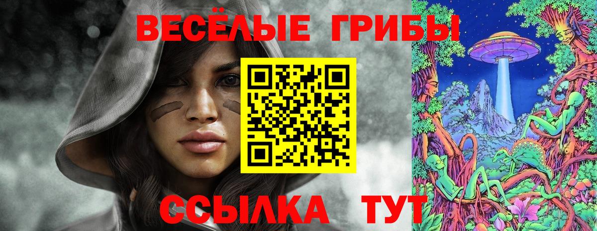 Галлюциногенные грибы Cubensis  Галлюциногенные грибы Psilocybine cubensis  Долгопрудный  Вход с VPN 