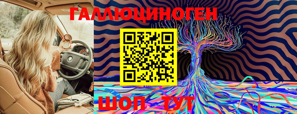 Псилоцибиновые грибы Cubensis Долгопрудный